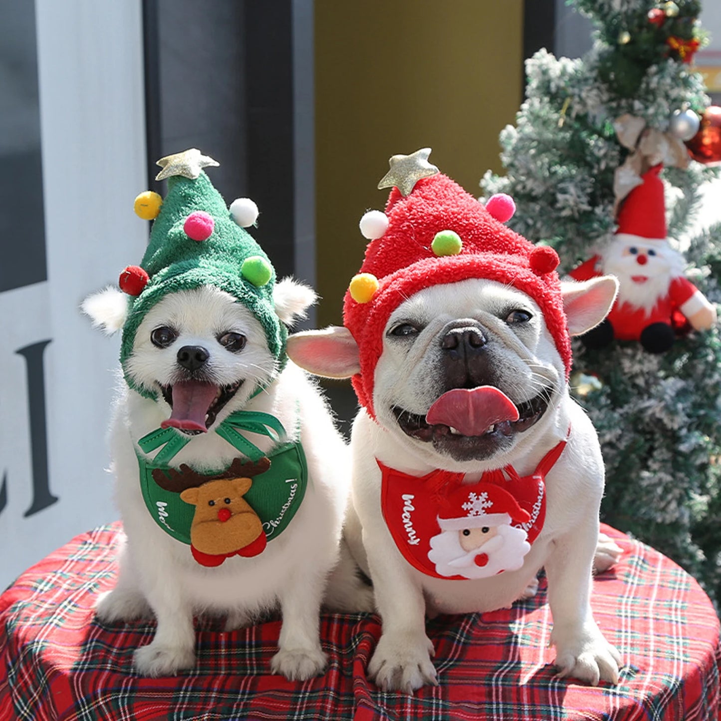 Christmas Tree Pom-Pom Hat, Dog Santa Hat.